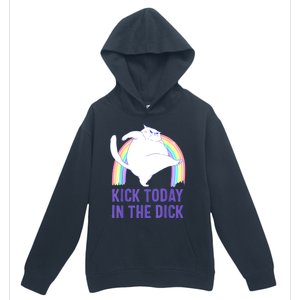 Kick Today In The Dick Urban Pullover Hoodie