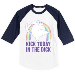 Kick Today In The Dick Baseball Sleeve Shirt