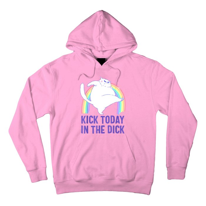 Kick Today In The Dick Hoodie