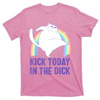 Kick Today In The Dick T-Shirt