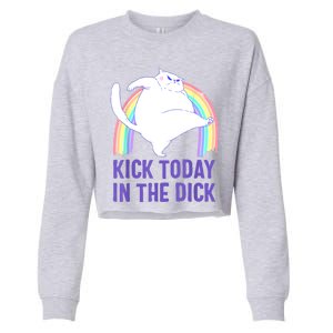 Kick Today In The Dick Cropped Pullover Crew