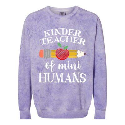 Kinder Teacher Of Mini Hu Kindergarten Team Funny Gift Meaningful Gift Colorblast Crewneck Sweatshirt