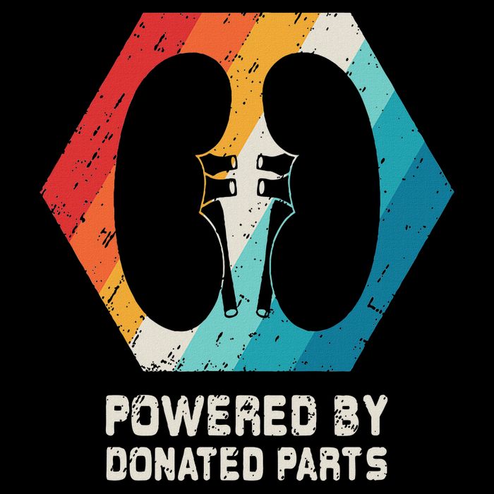 Kidney Transplant Organ Recipient Survivor Gift Womens T-Shirt