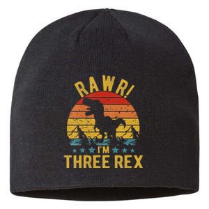 Kids Three Rex 3rd Birthday Dinosaur 3 Year Old Rawr Boy Girl Sustainable Beanie