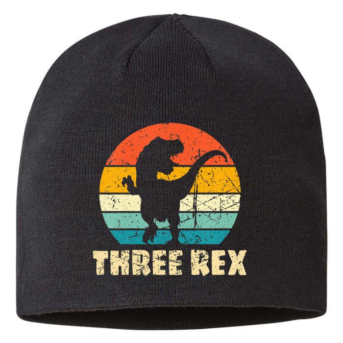 Kids Three Rex 3rd Birthday Third Dinosaur 3 Year Old Sustainable Beanie