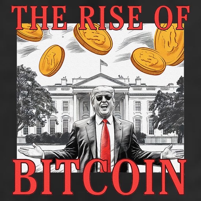 Kawaii Trump The Rise Of Bitcoin White House DaddyS Home 7 Panel Mesh Trucker Snapback Hat