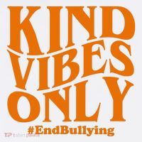 Kind Vibes Only End Bullying Magnet