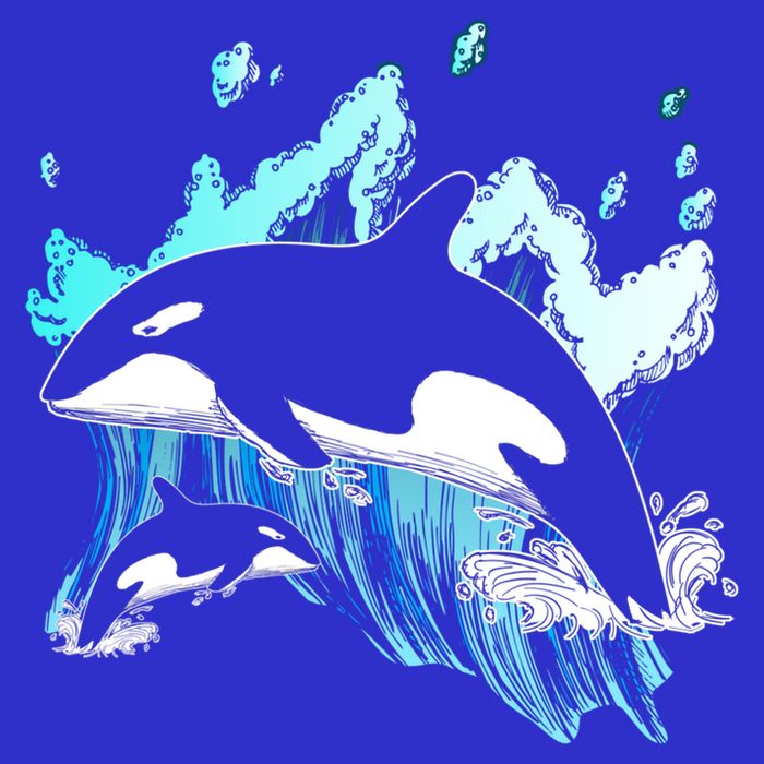 Killer Whale Ocean Lover Gift Idea Men Boys Kids Orca Great Gift Sweatshirt