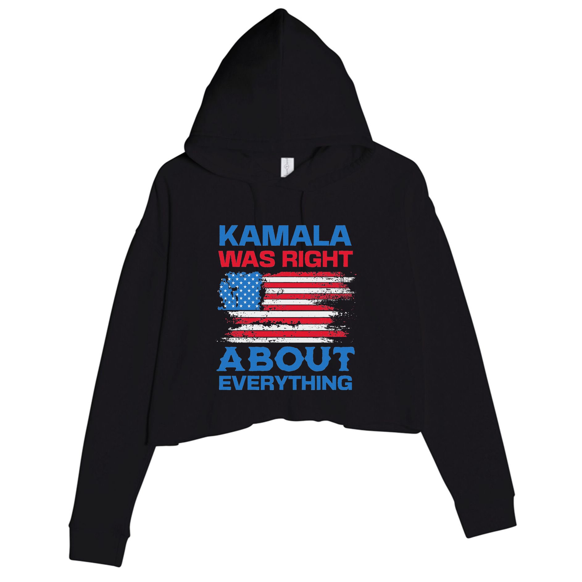 Kamala Was Right About Everything American Flag Crop Fleece Hoodie
