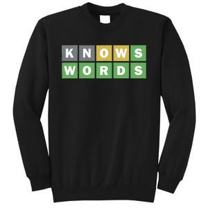 Knows Words Word Guessing Game Guess The Word Game Sweatshirt