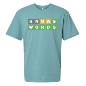 Knows Words Word Guessing Game Guess The Word Game Sueded Cloud Jersey T-Shirt