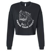 Know Your Enemy Realistic Pitbull Dog Cropped Pullover Crew