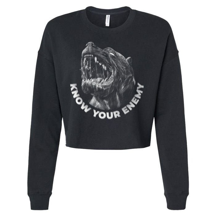 Know Your Enemy Realistic Pitbull Dog Cropped Pullover Crew