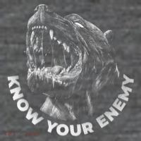Know Your Enemy Realistic Pitbull Dog Button