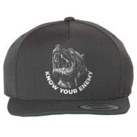 Know Your Enemy Realistic Pitbull Dog Wool Snapback Cap