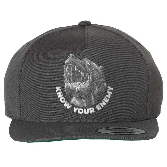 Know Your Enemy Realistic Pitbull Dog Wool Snapback Cap