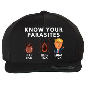 Know Your Parasites Deer Tick Dog Tick Luna Tick Anti Trump Wool Snapback Cap