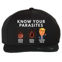 Know Your Parasites Deer Tick Dog Tick Luna Tick Anti Trump Wool Snapback Cap