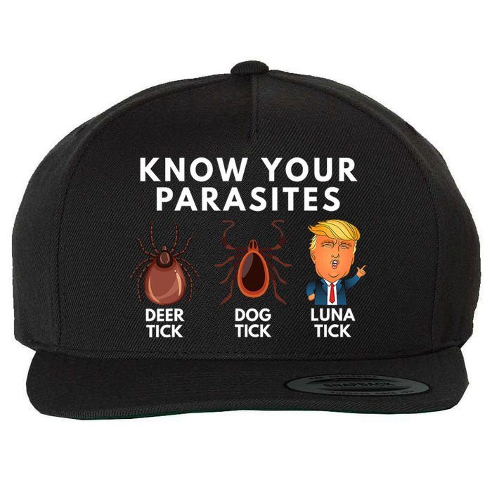 Know Your Parasites Deer Tick Dog Tick Luna Tick Anti Trump Wool Snapback Cap