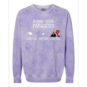 Know Your Parasites Deer Tick Dog Tick Luna Tick Colorblast Crewneck Sweatshirt