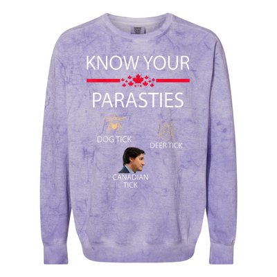 Know Your Parasites Dog Tick Deer Tick Canadian Tick Colorblast Crewneck Sweatshirt