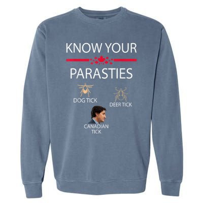 Know Your Parasites Dog Tick Deer Tick Canadian Tick Garment-Dyed Sweatshirt