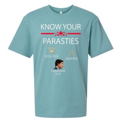 Know Your Parasites Dog Tick Deer Tick Canadian Tick Sueded Cloud Jersey T-Shirt