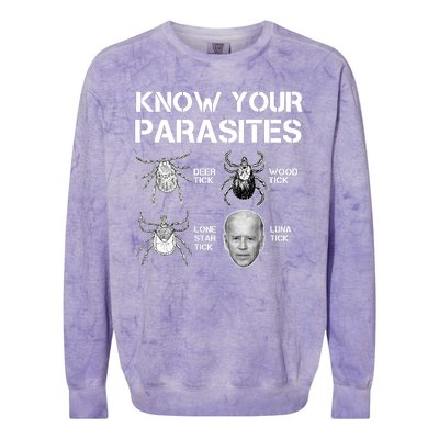 Know Your Parasites Anti Joe Biden Funny Colorblast Crewneck Sweatshirt