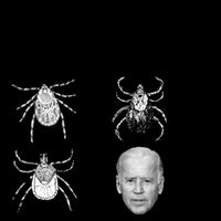 Know Your Parasites Anti Joe Biden Funny Mug
