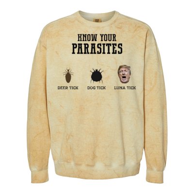 Know Your Parasites Antitrump Colorblast Crewneck Sweatshirt