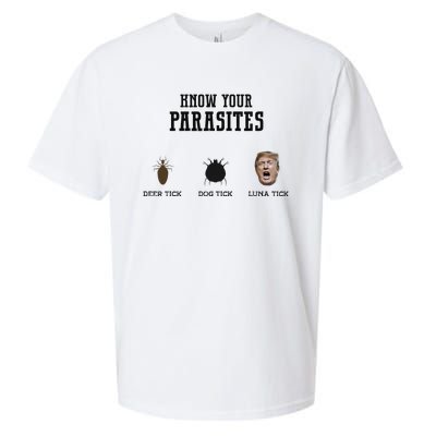 Know Your Parasites Antitrump Sueded Cloud Jersey T-Shirt