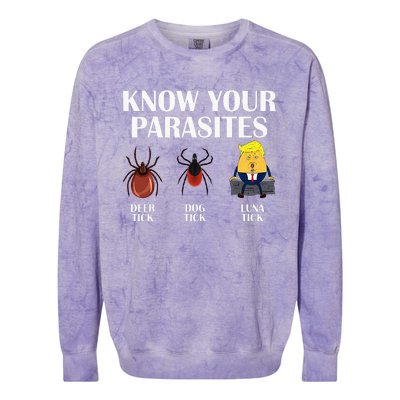 Know Your Parasites Anti Trump Democrat Vote Kamala Colorblast Crewneck Sweatshirt