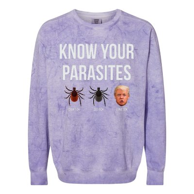 Know Your Parasites Dump President Trump Parasite Lunatic Colorblast Crewneck Sweatshirt