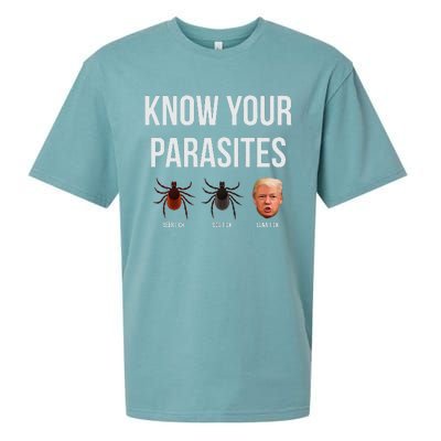 Know Your Parasites Dump President Trump Parasite Lunatic Sueded Cloud Jersey T-Shirt