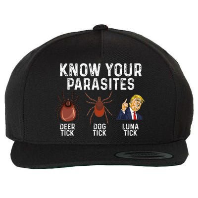 Know Your Parasites Deer Tick Dog Tick Luna Tick Anti Trump Wool Snapback Cap