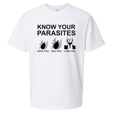 Know Your Parasites Anti Trump Sueded Cloud Jersey T-Shirt