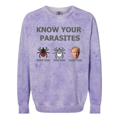 Know Your Parasites Anti Trump Resist Colorblast Crewneck Sweatshirt