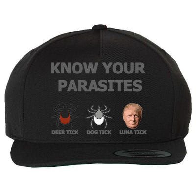 Know Your Parasites Anti Trump Resist Wool Snapback Cap