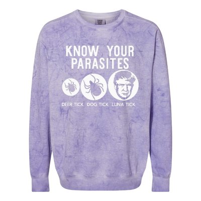 Know Your Parasites Antitrump Resist Funny Gift Colorblast Crewneck Sweatshirt