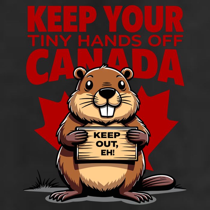 Keep Your Tiny Hands Off Canada Is Not For Sale Funny 15oz Campfire Ceramic Mug