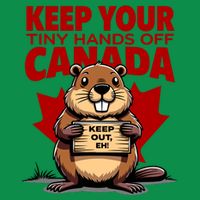 Keep Your Tiny Hands Off Canada Is Not For Sale Funny Hoodie