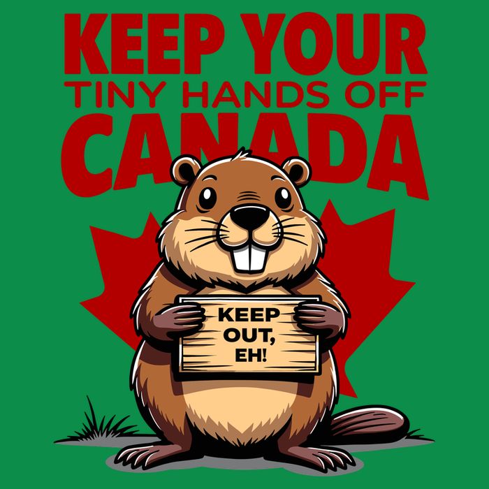 Keep Your Tiny Hands Off Canada Is Not For Sale Funny Poster