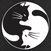 Kawaki Ying Yang Cat Cool Comfort Performance Bucket Hat
