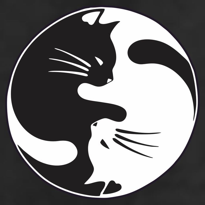 Kawaki Ying Yang Cat Cool Comfort Performance Bucket Hat