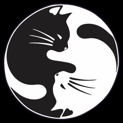 Kawaki Ying Yang Cat T-Shirt