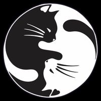 Kawaki Ying Yang Cat Drawstring Bag