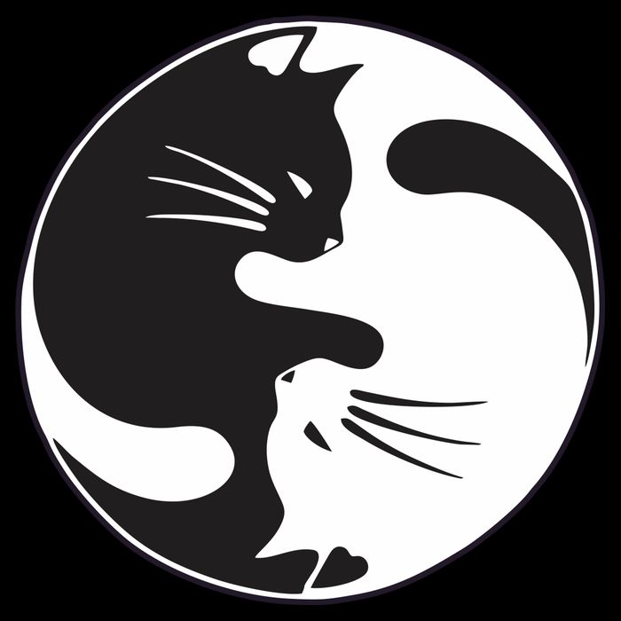 Kawaki Ying Yang Cat Drawstring Bag