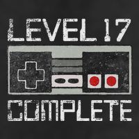 Level 17 Complete 17 Year 17th Wedding Anniversary Adult Drive Performance Visor