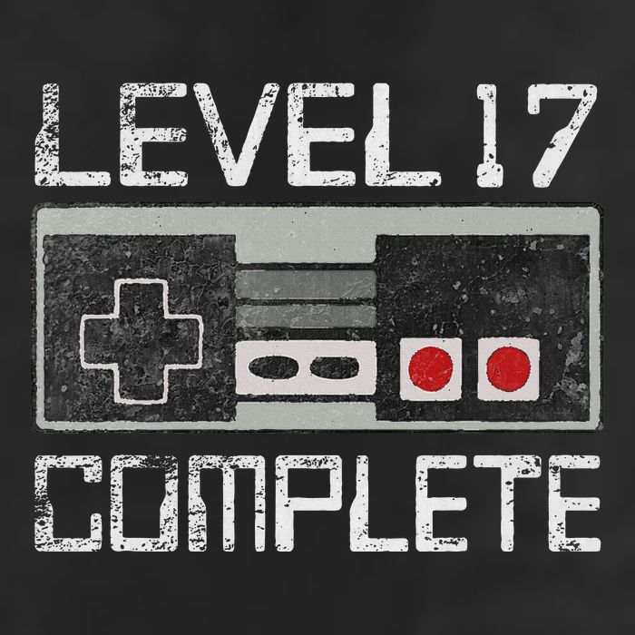 Level 17 Complete 17 Year 17th Wedding Anniversary Adult Drive Performance Visor