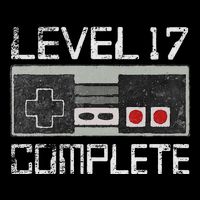 Level 17 Complete 17 Year 17th Wedding Anniversary Flatbill Hat
